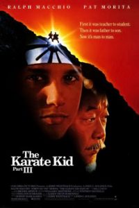The Karate Kid Part 3 (1989) Dual Audio {Hindi-English} Movie 480p 720p 1080p